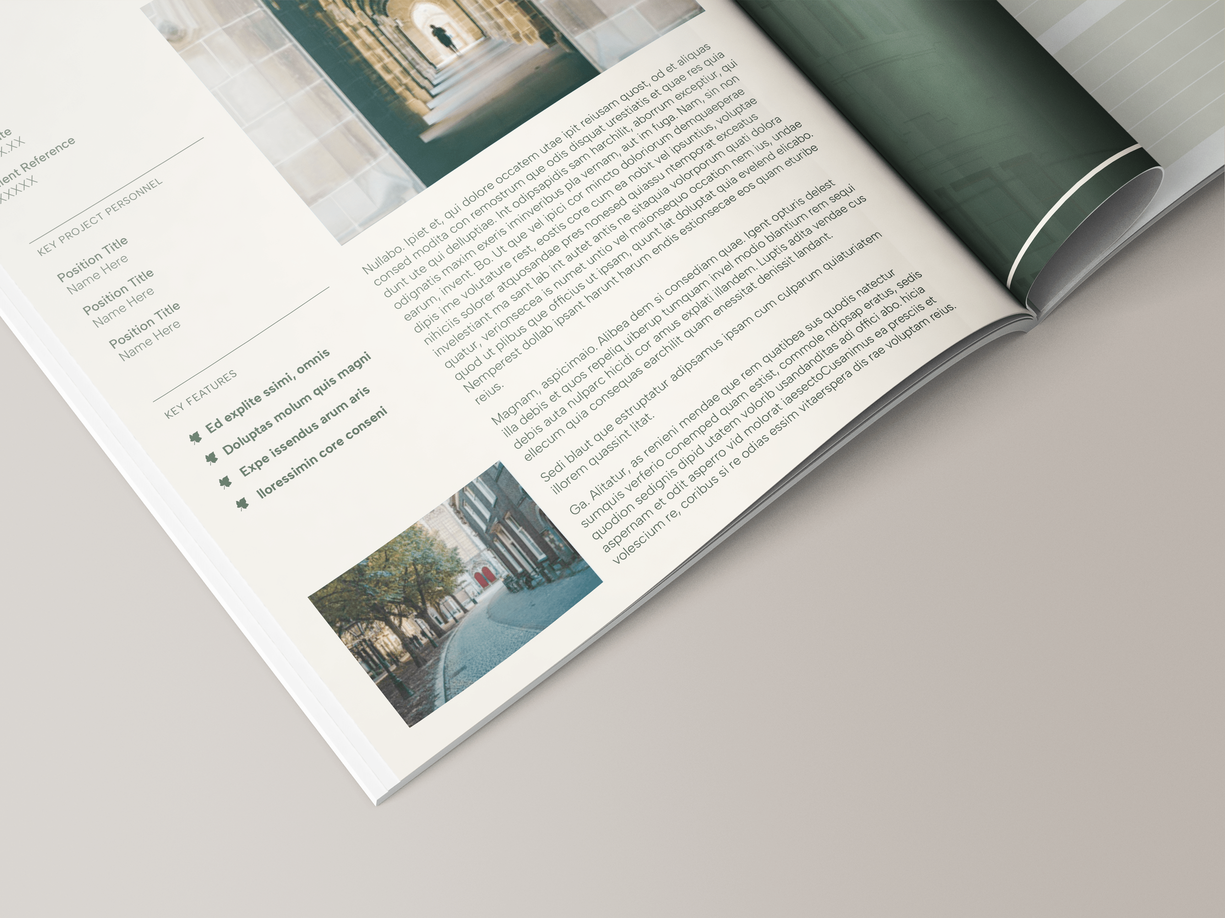 construction tender past project example writing