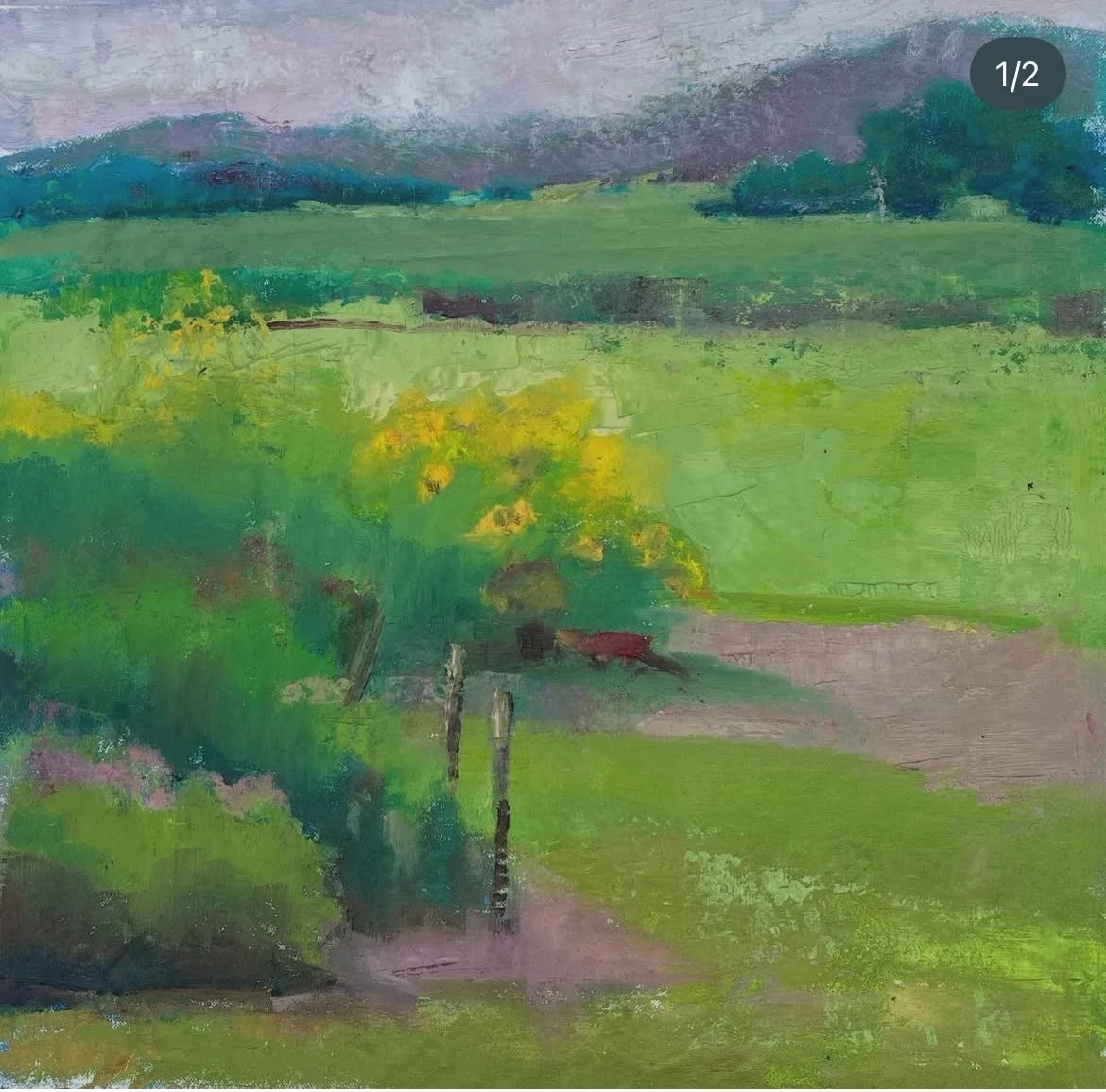 Flower field in Harrisburg