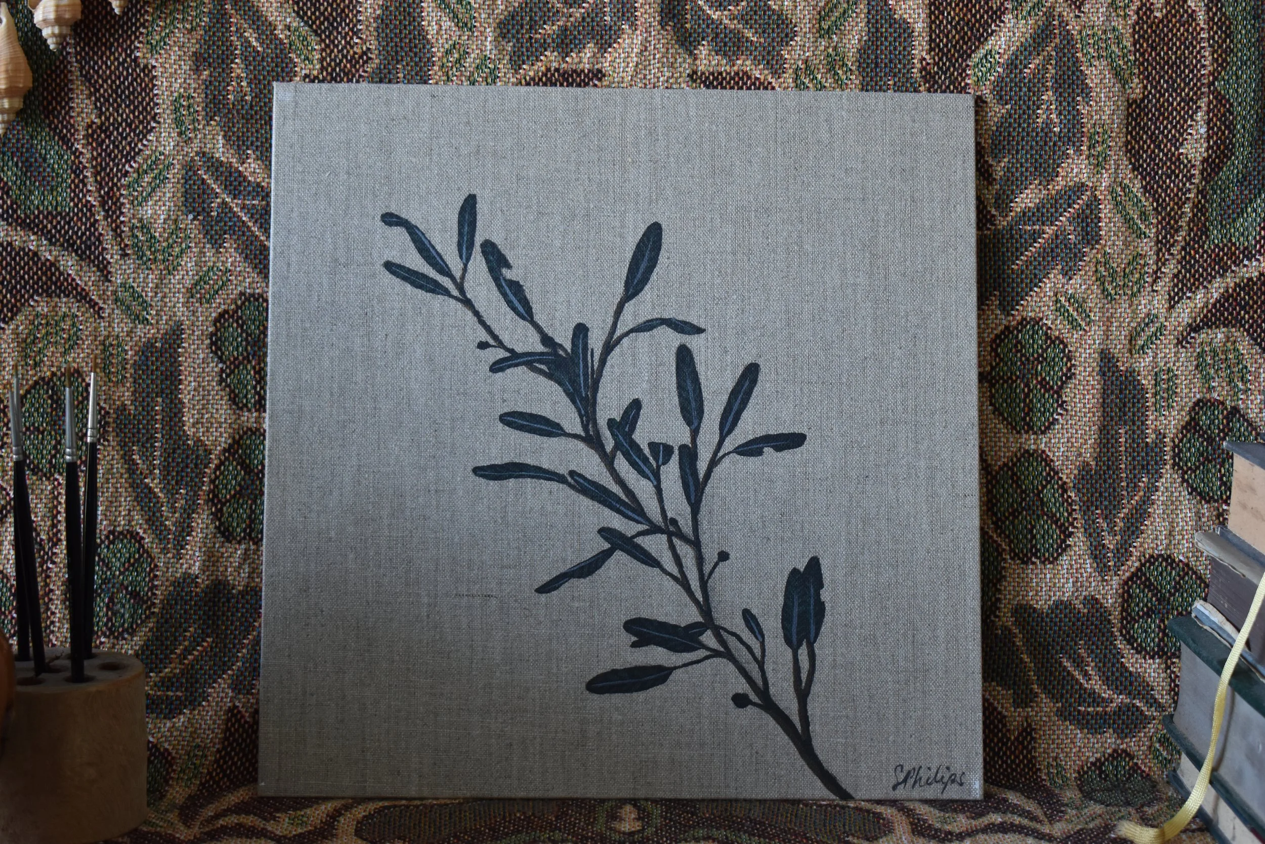 Olive Branch Study