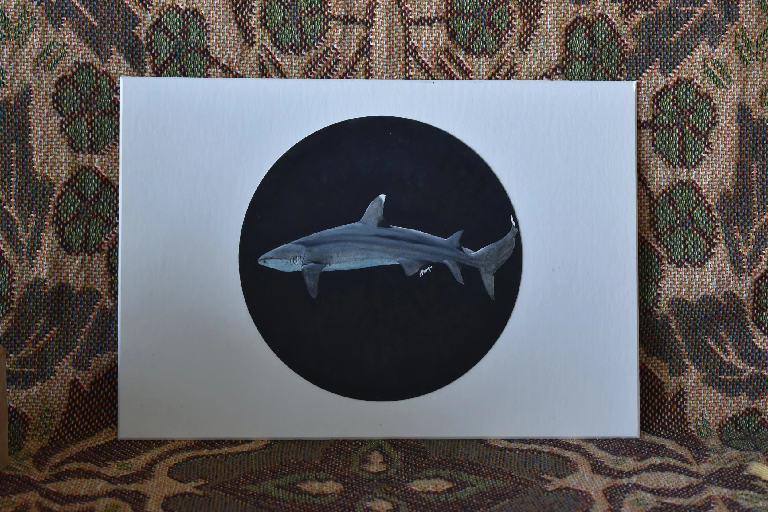 White Tip Reef Shark Study