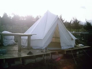 WELCOMED BY THE WIND