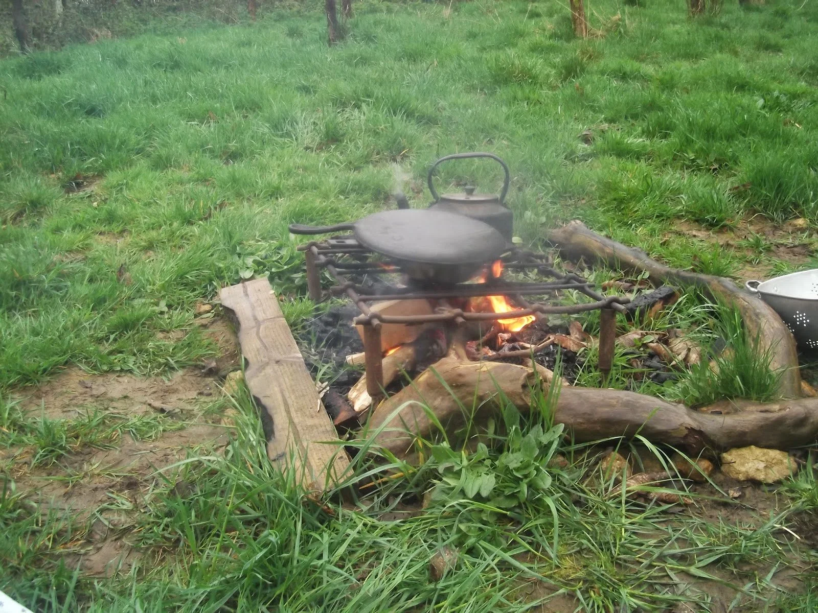 COOKING NETTLES