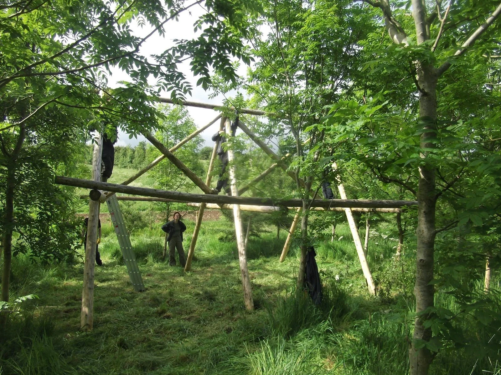 A-FRAME IN THE ASH TREES