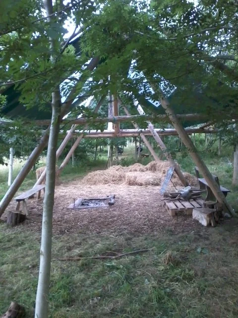 Beautiful summer Forest school