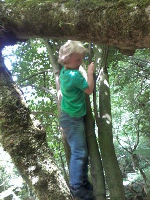 Trees make the best climbing frames!