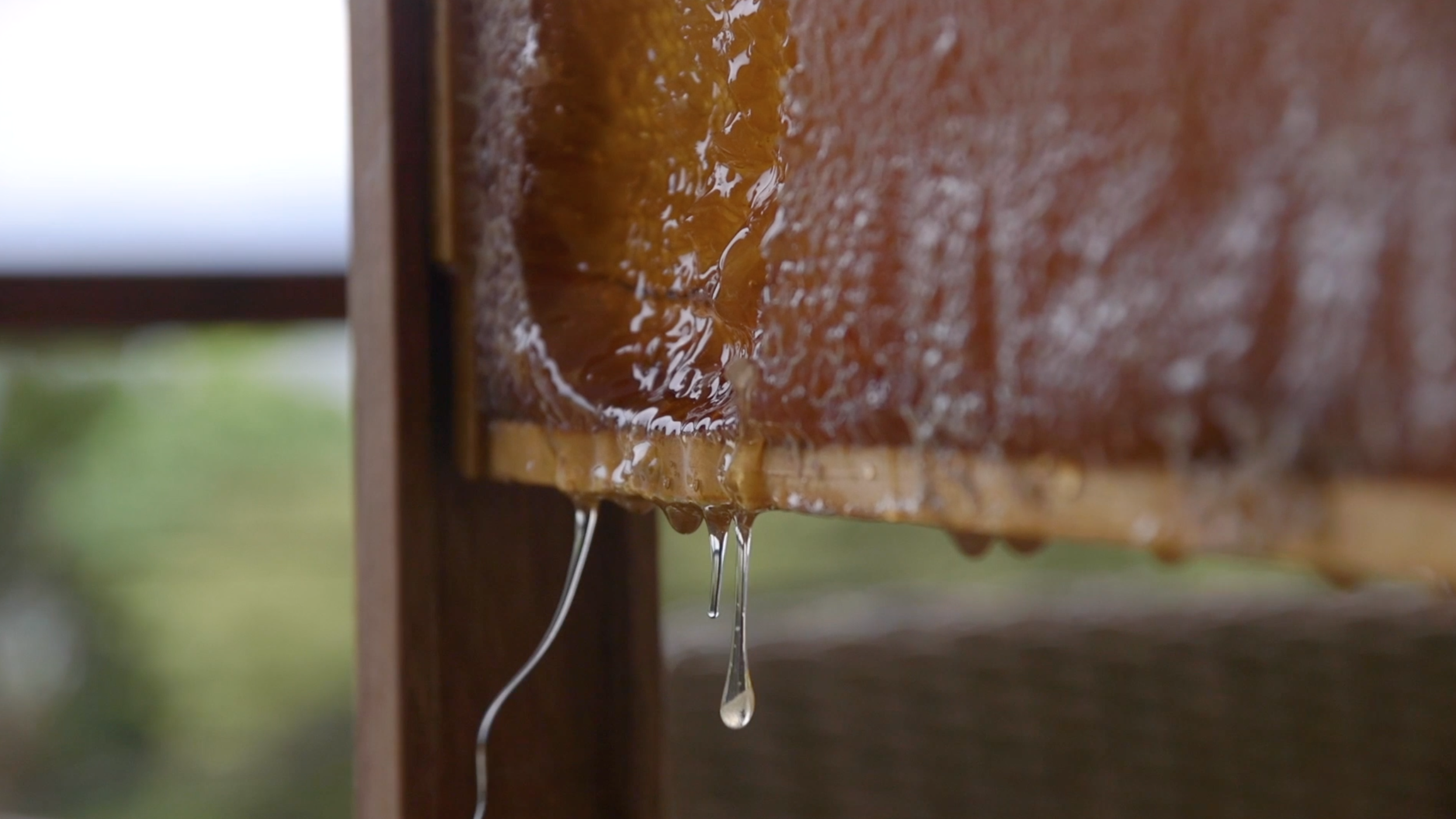 Screen Shot 2021-07-20 at 6.22.49 pm.png