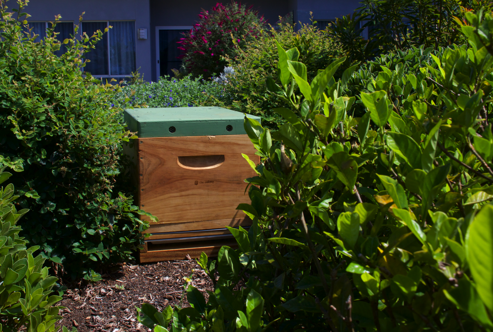 Screen Shot 2022-01-18 at 12.46.02 pm.png