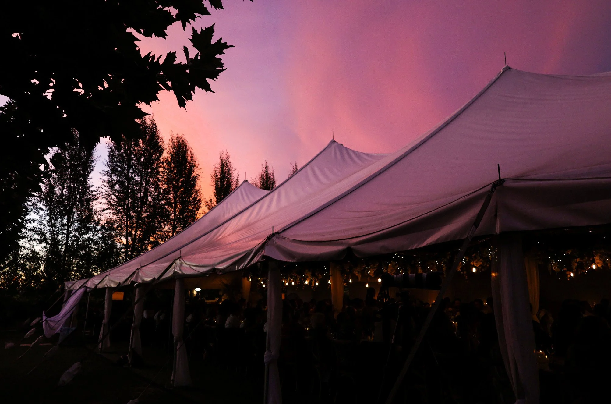 Screenshot 2024-02-16 at 3.38.57 pm.JPG