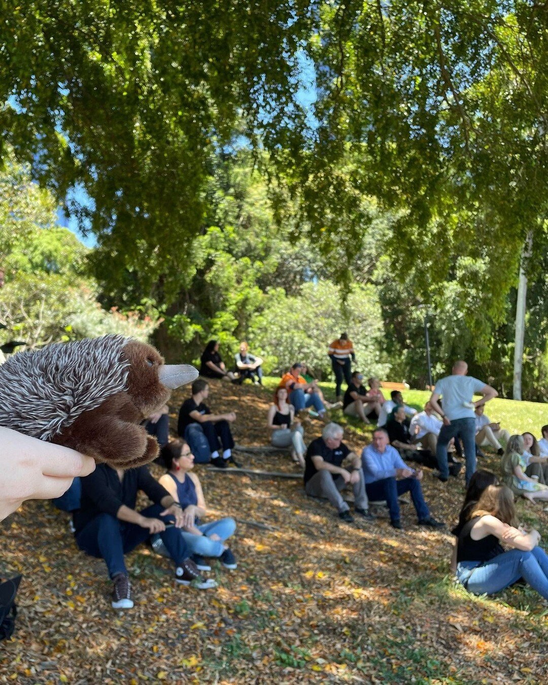 #MascotMonday

Evie recently welcomed our team members from Townsville, New South Wales and Victoria for a day of company workshops and holiday celebration in Brisbane!

All Everick offices have not had a chance to connect in-person since before the 