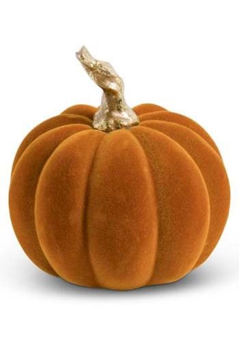 Velvet  Pumpkin