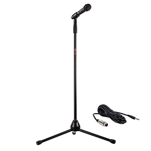 Mic with stand