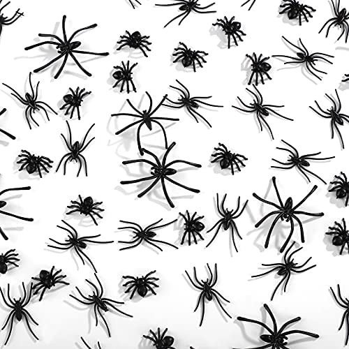 120 Spiders