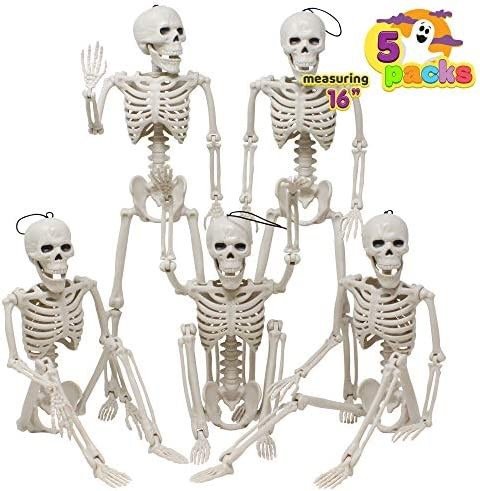 Skeletons set￼