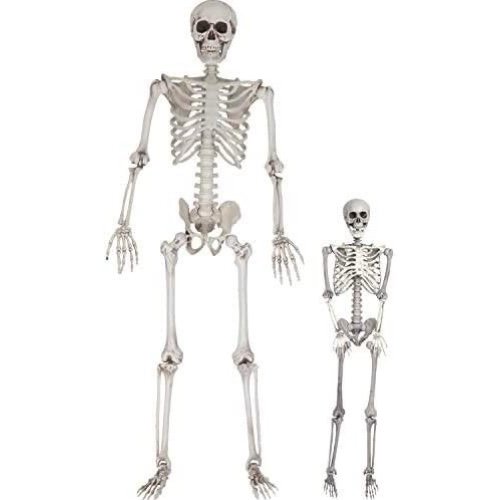 Life-size skeleton set￼