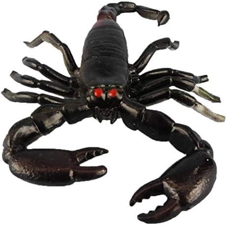 Big Scorpion Prop