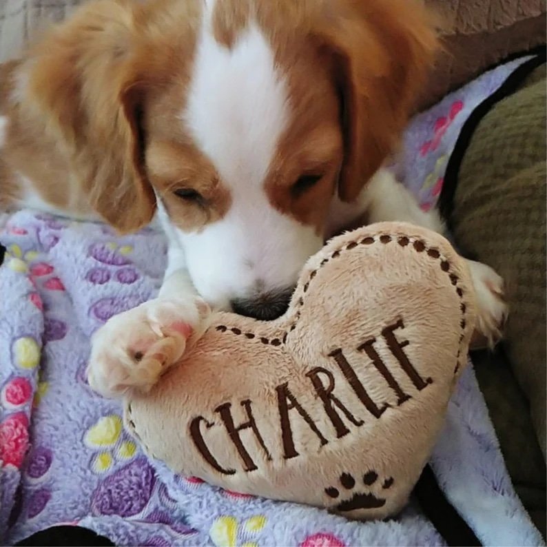 Personalized Toy