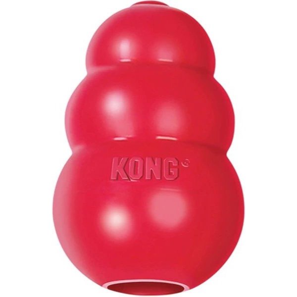 Kong Toy