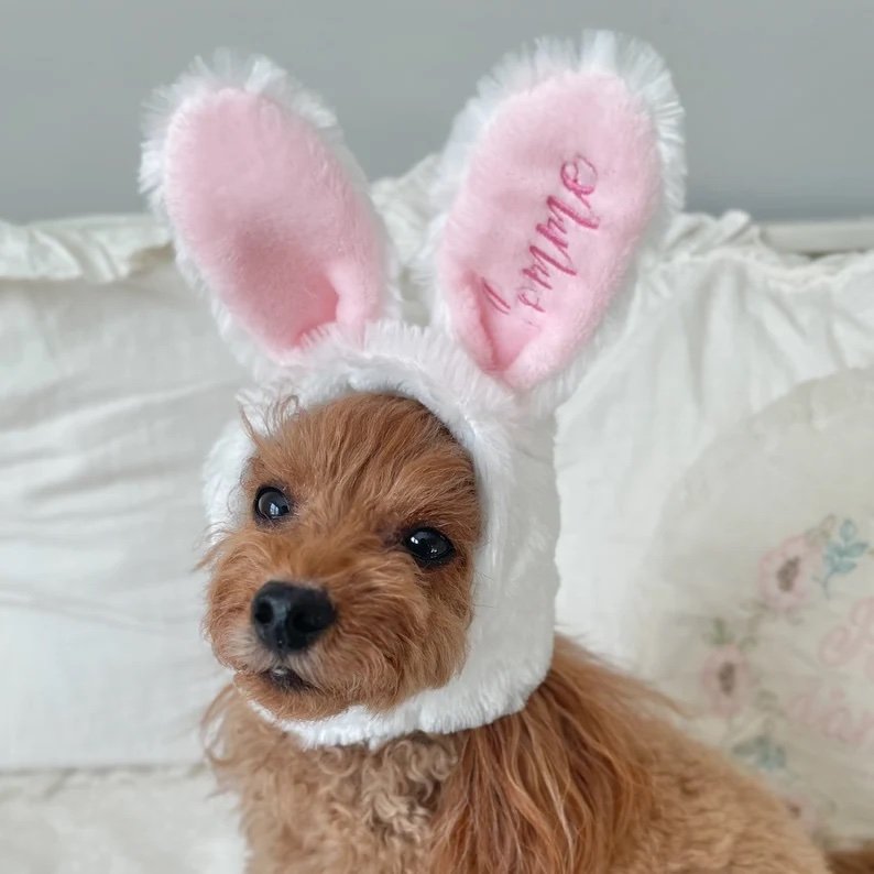 Bunny Ears Hat