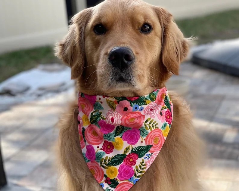 Floral Dog Bandana 