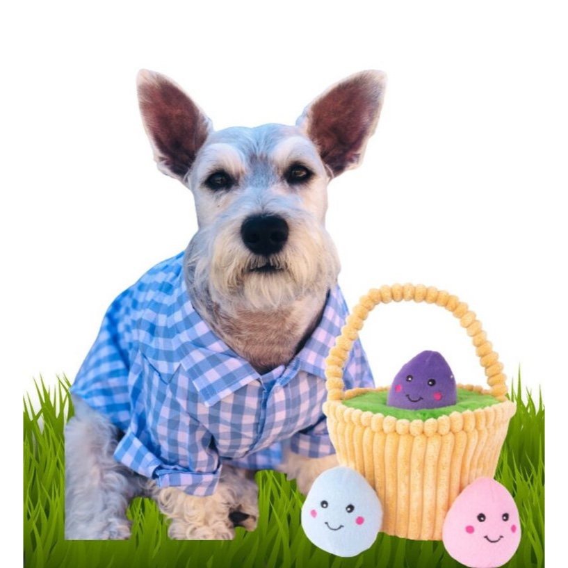 Easter Dog Toy