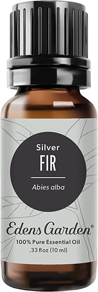 Silver Fir