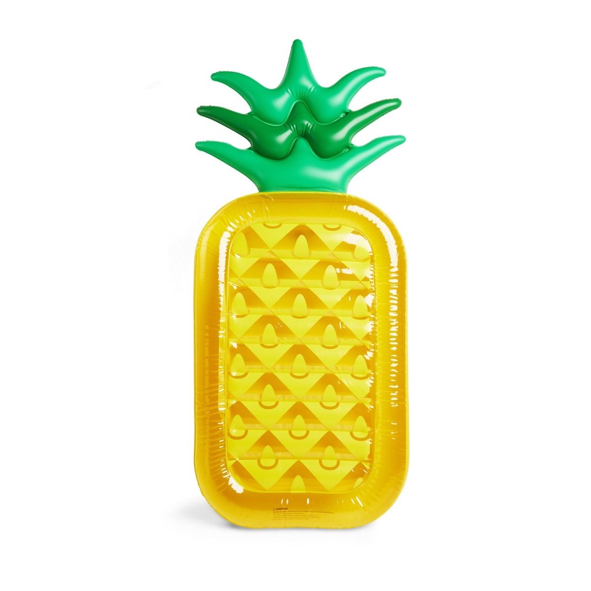 Pineapple Pool Toy