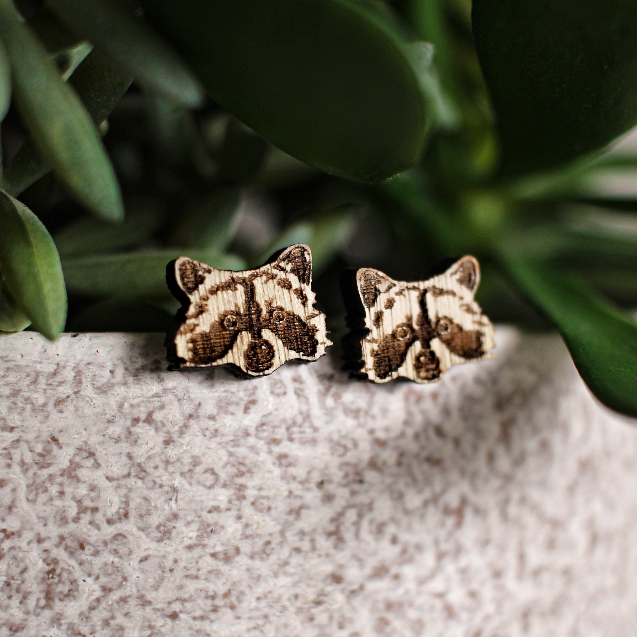 Cute raccoon earrings made from wood with a unique engraved design displayed on the edge of a plant pot.