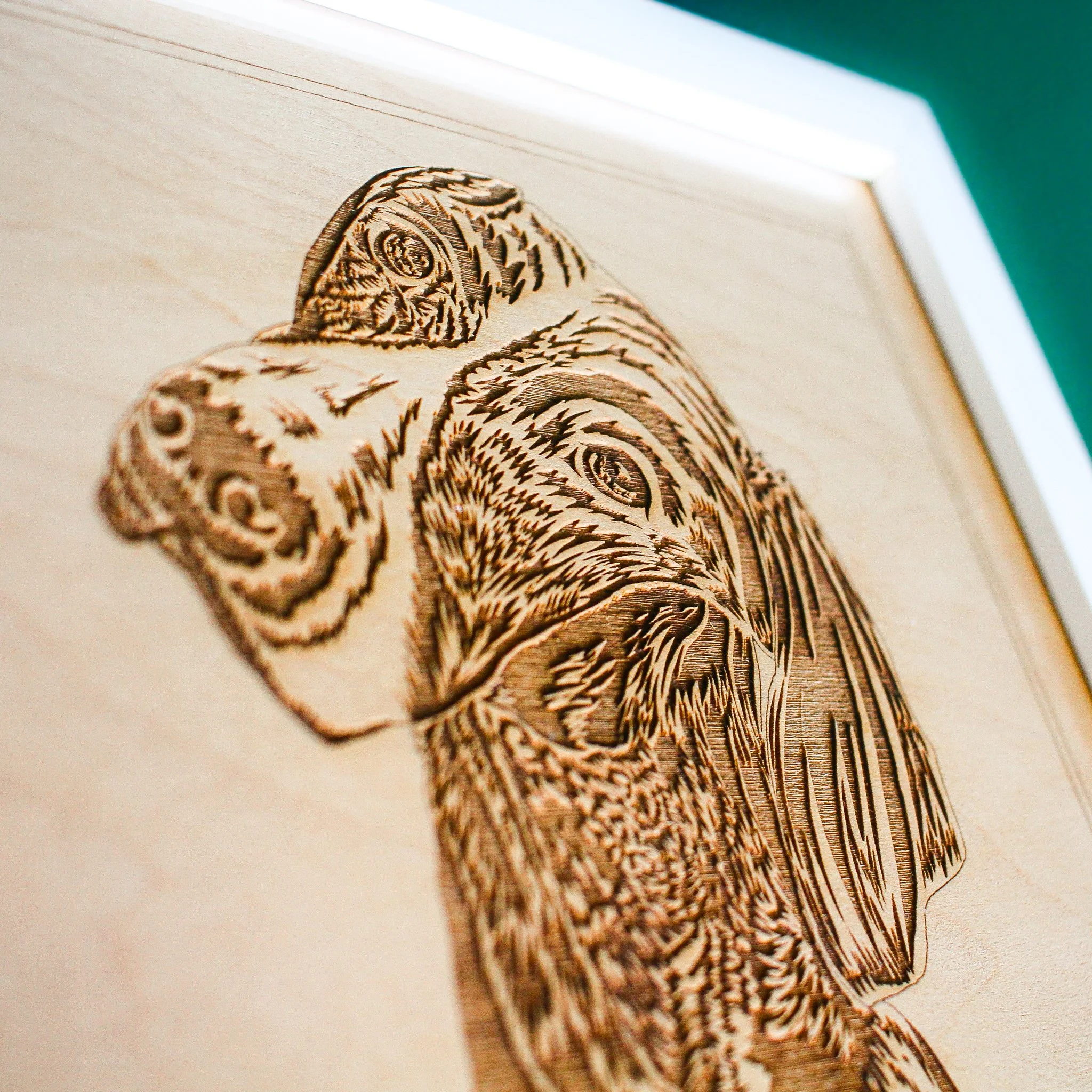 Detail shot of an engraved pet portrait of a dog on wood. The dog is a pointer, the wood is maple. The engraving is highly detailed and has been framed.