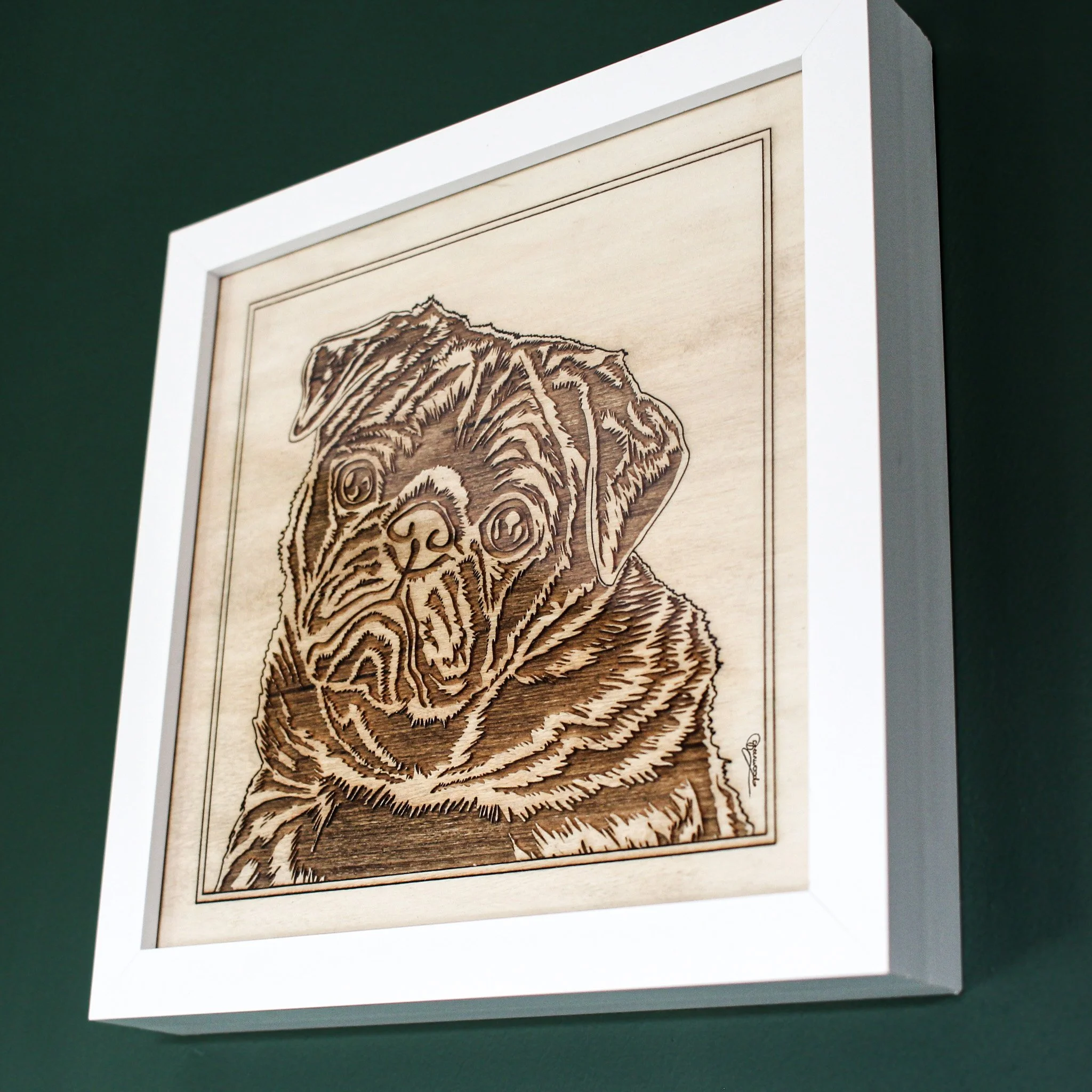 An oblique view of a pet portrait displayed hung on a dark green wall. The subject is pug, the frame white and the medium wood. The portrait has been hand drawn then laser engraved.