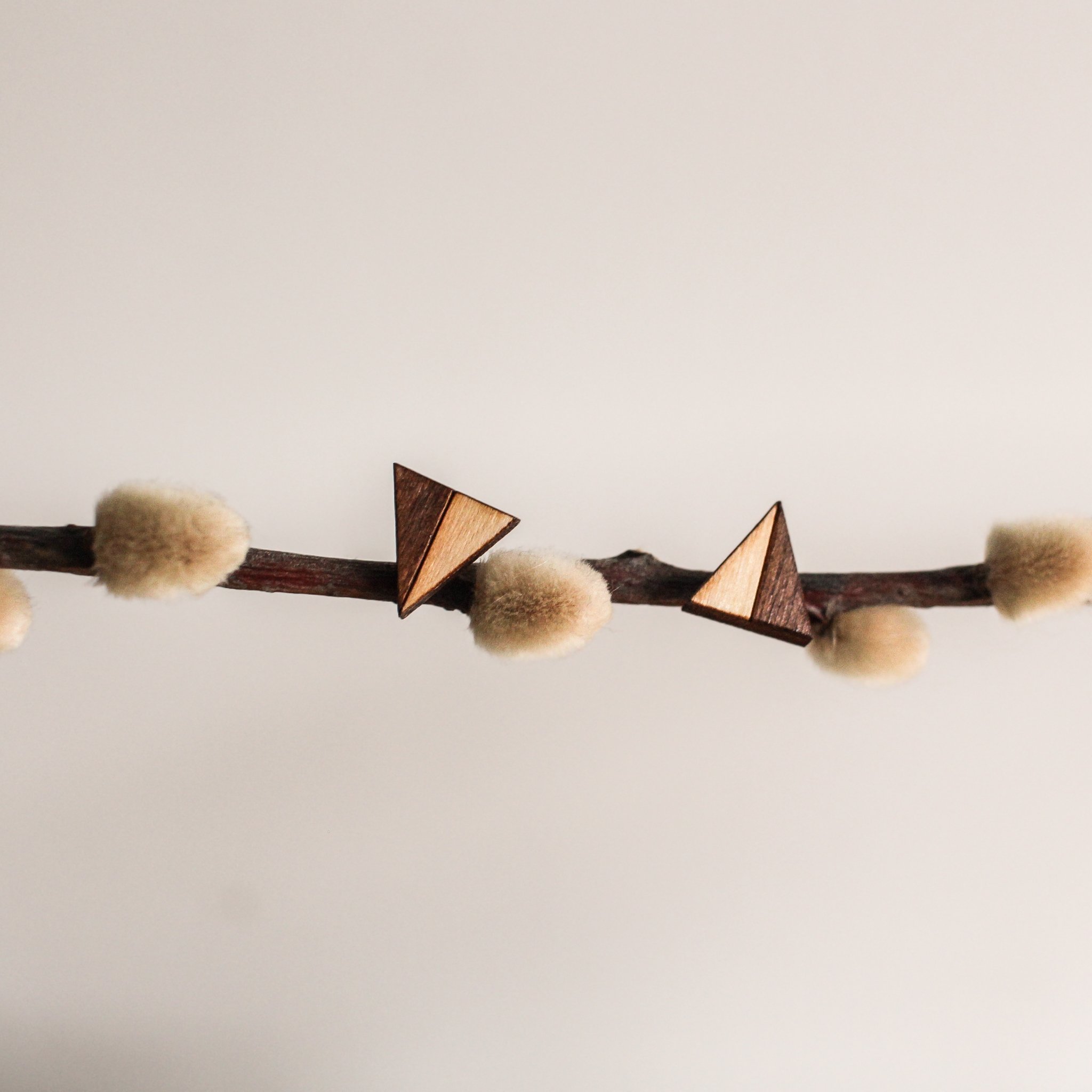 Wooden studs balanced on a branch of pussy willow. The studs are roughly the size of the buds on the branch.