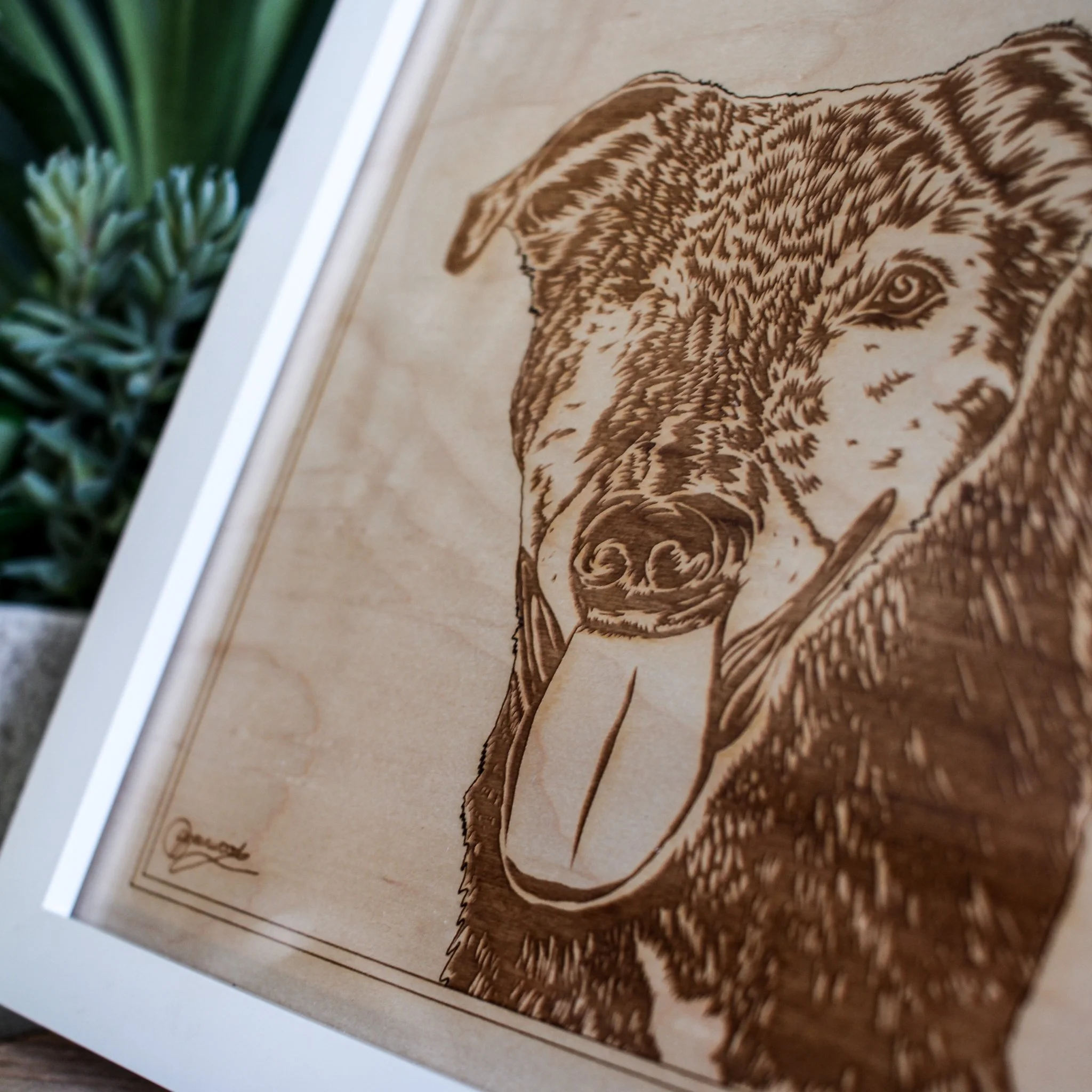 A close up side shot of a pet portrait engraving of a dog with one eye. Close attention has been paid to the dogs character and the engraving is finely detailed, framed and signed by the artist.