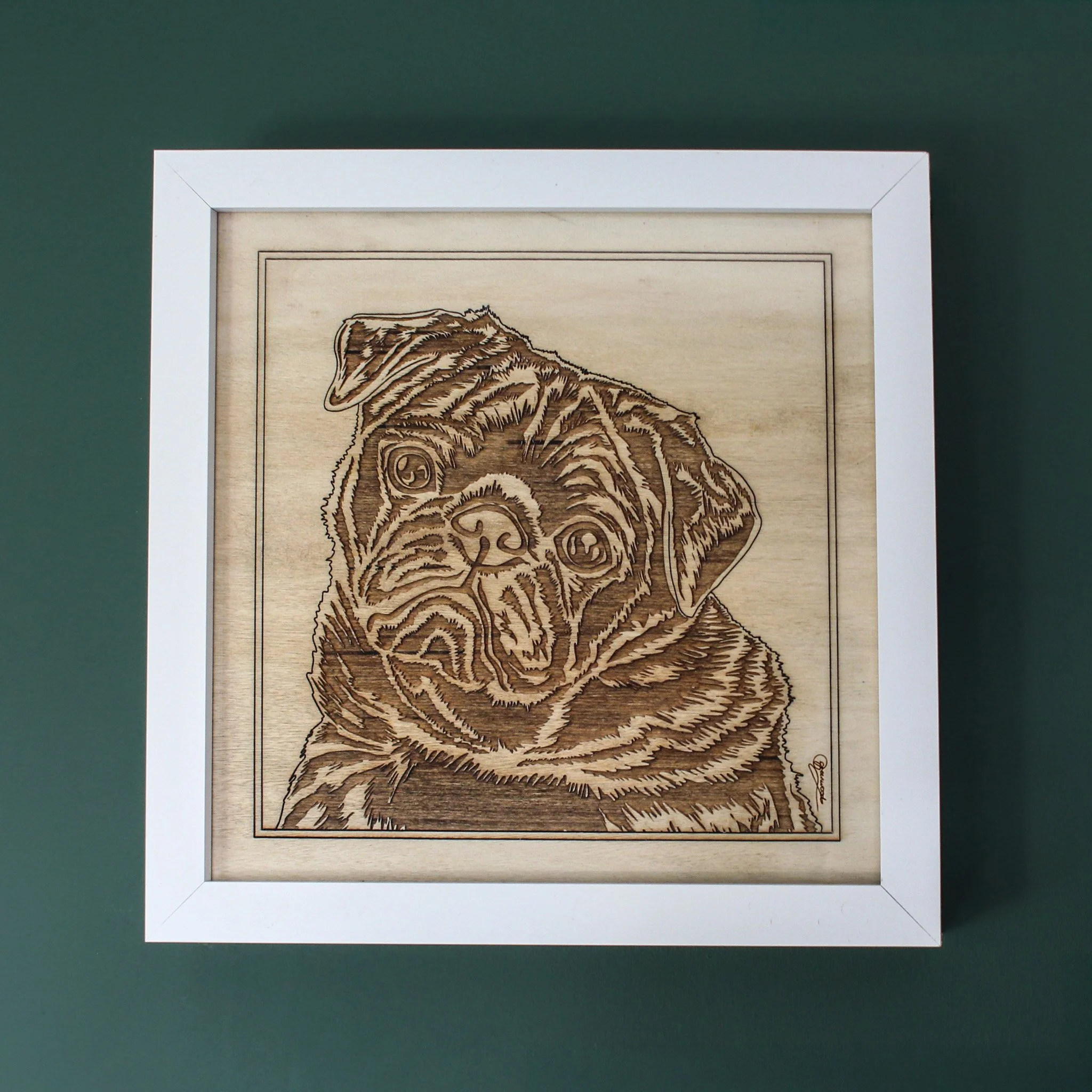 A framed pet portrait of a dog on a dark green background. The pet portrait is a hand drawn original of a pug and signed by the artist. It is engraved onto maple wood. The frame is a white box frame.