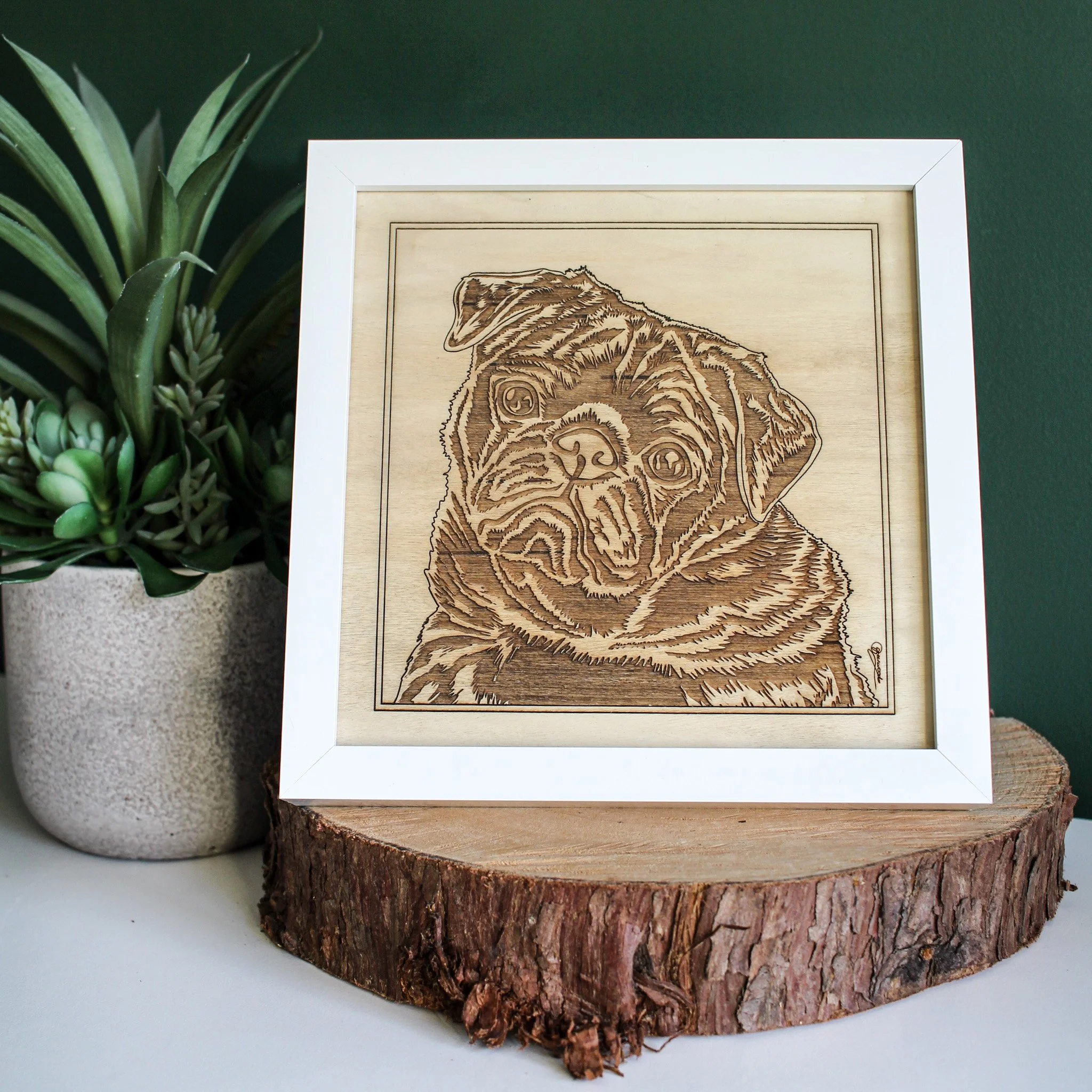 A hand drawn pet portrait of a pug dog engraved onto wood displayed in a white box frame displayed on a log slice next to a plant pot.