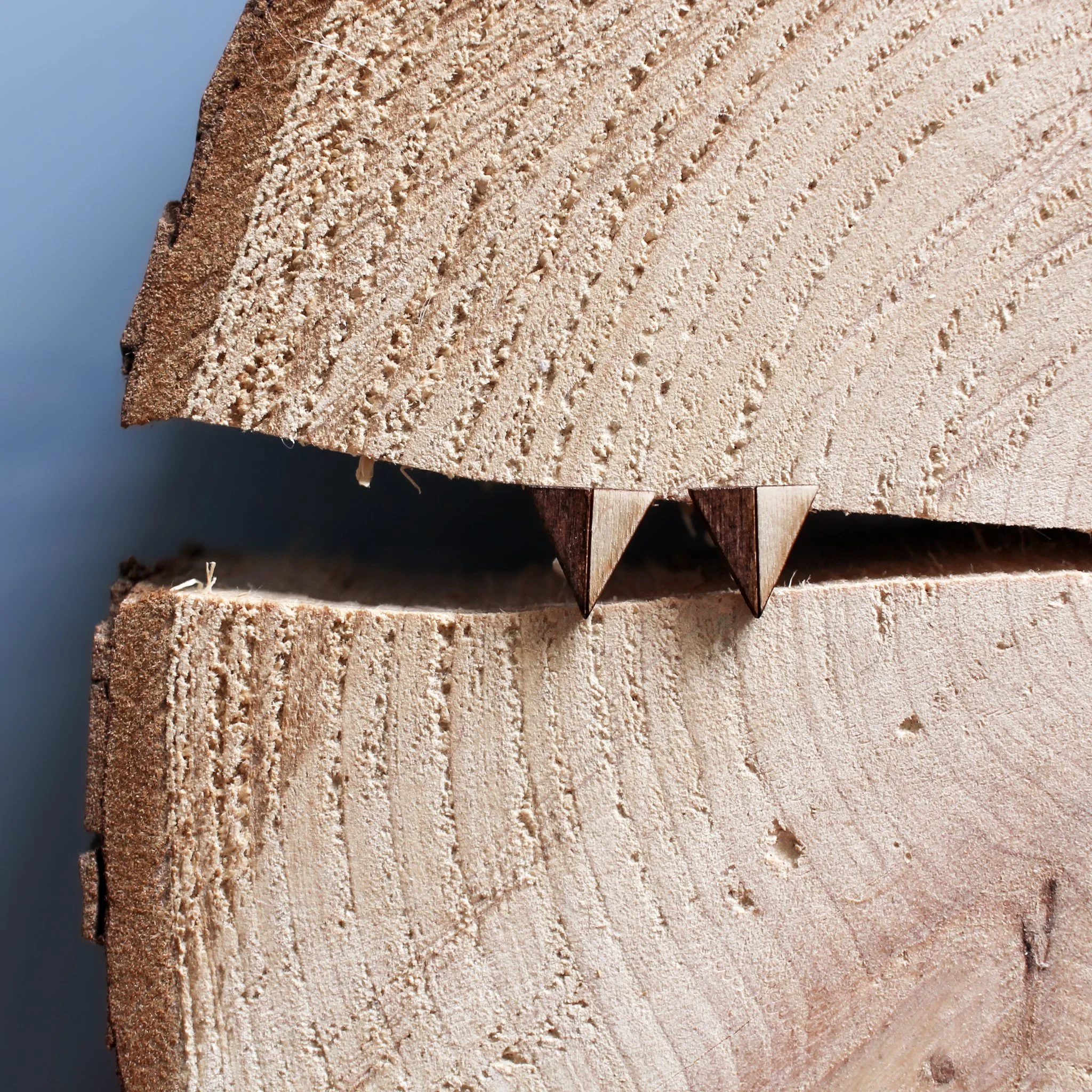 Triangle stud earrings made from wood, displayed in a split that has formed in a log slice.