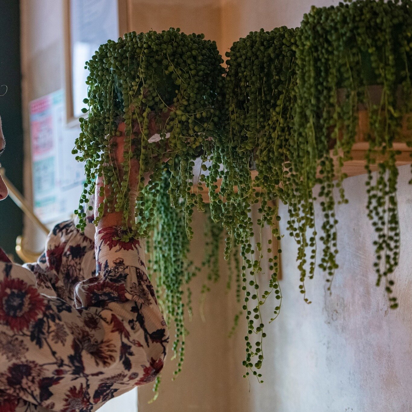 LE VEGETAL, C'EST BON POUR LE MORAL ET LE LIEN SOCIAL 💚

En ce Blue Monday, nous vous recommandons de passer au vert ! De nombreuses &eacute;tudes montrent que le v&eacute;g&eacute;tal vivant est un facteur de bien-&ecirc;tre. 
Chez Vertu, nous habi