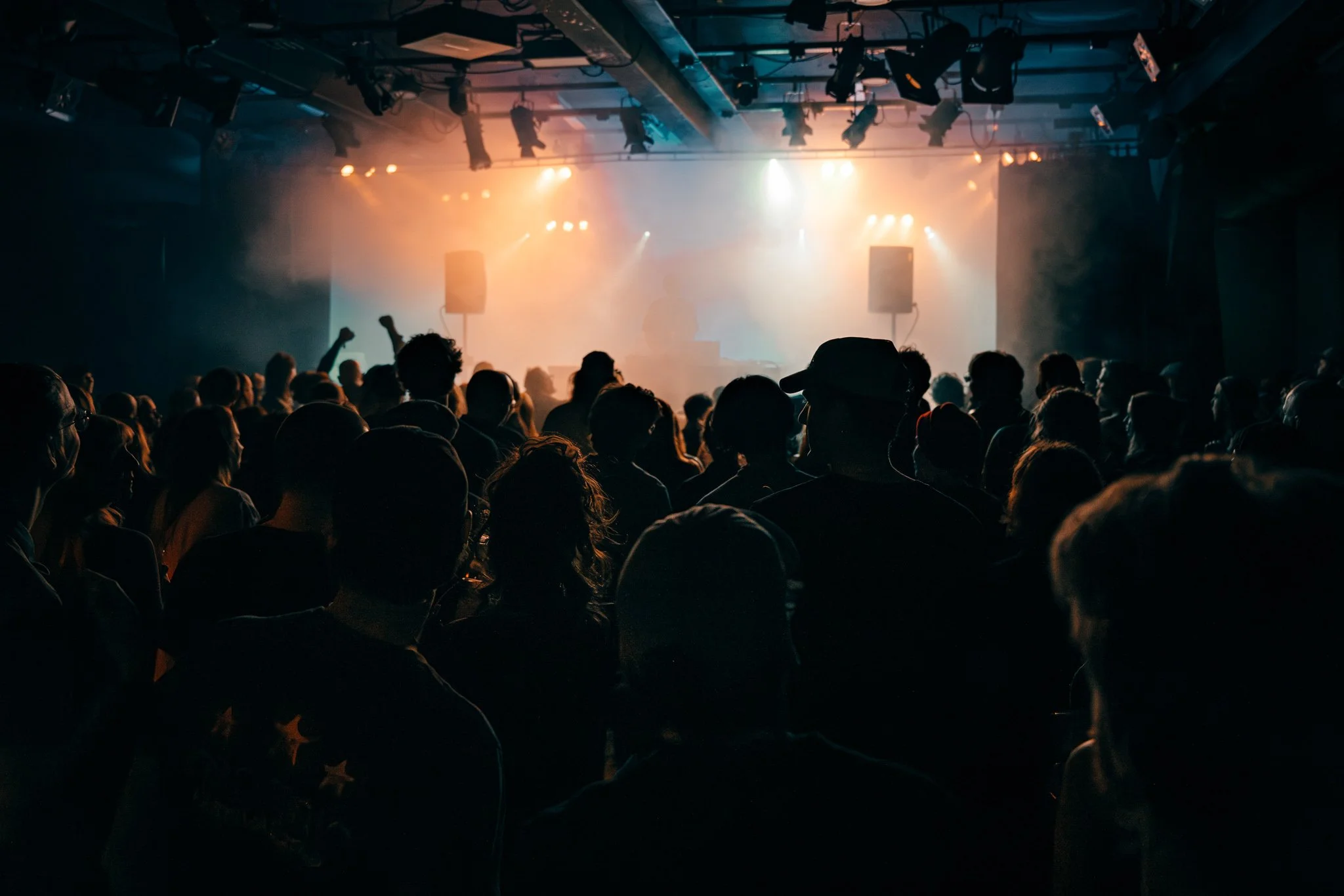 crowd (Alexandra Grigorean)