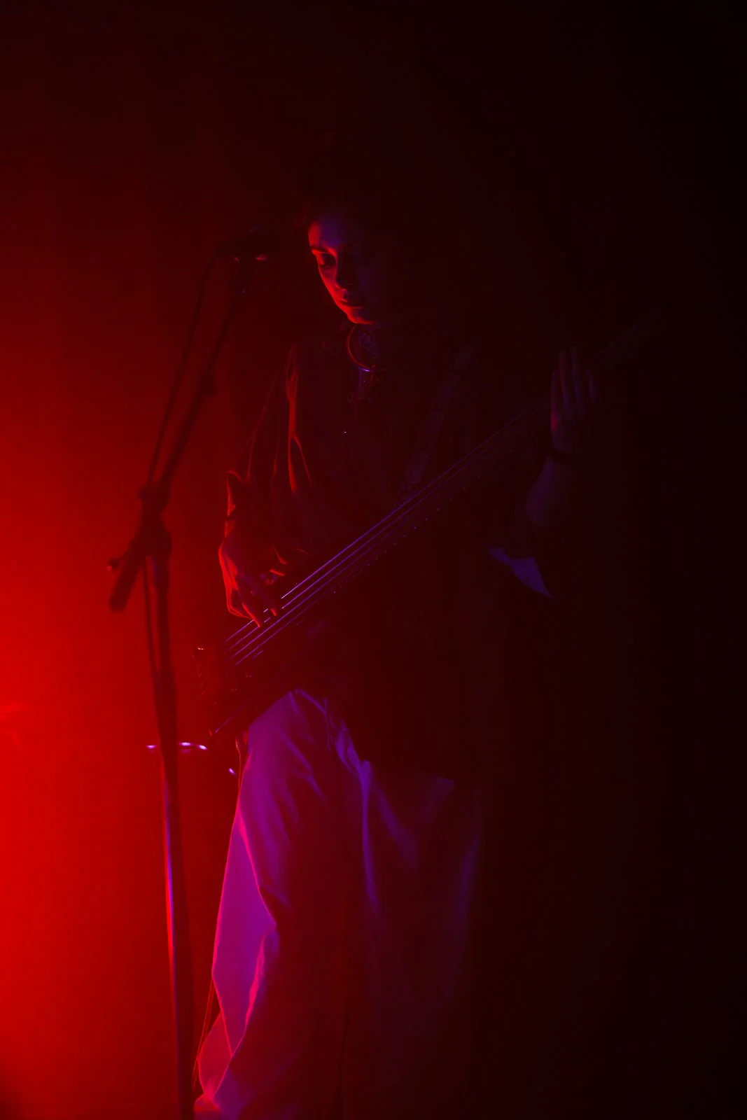 Devon Rexi (Henrik Hellström)