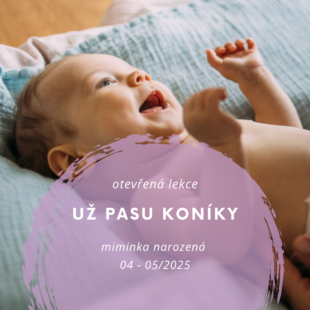 UŽ PASU KONÍKY - OTEVŘENá LEKCE