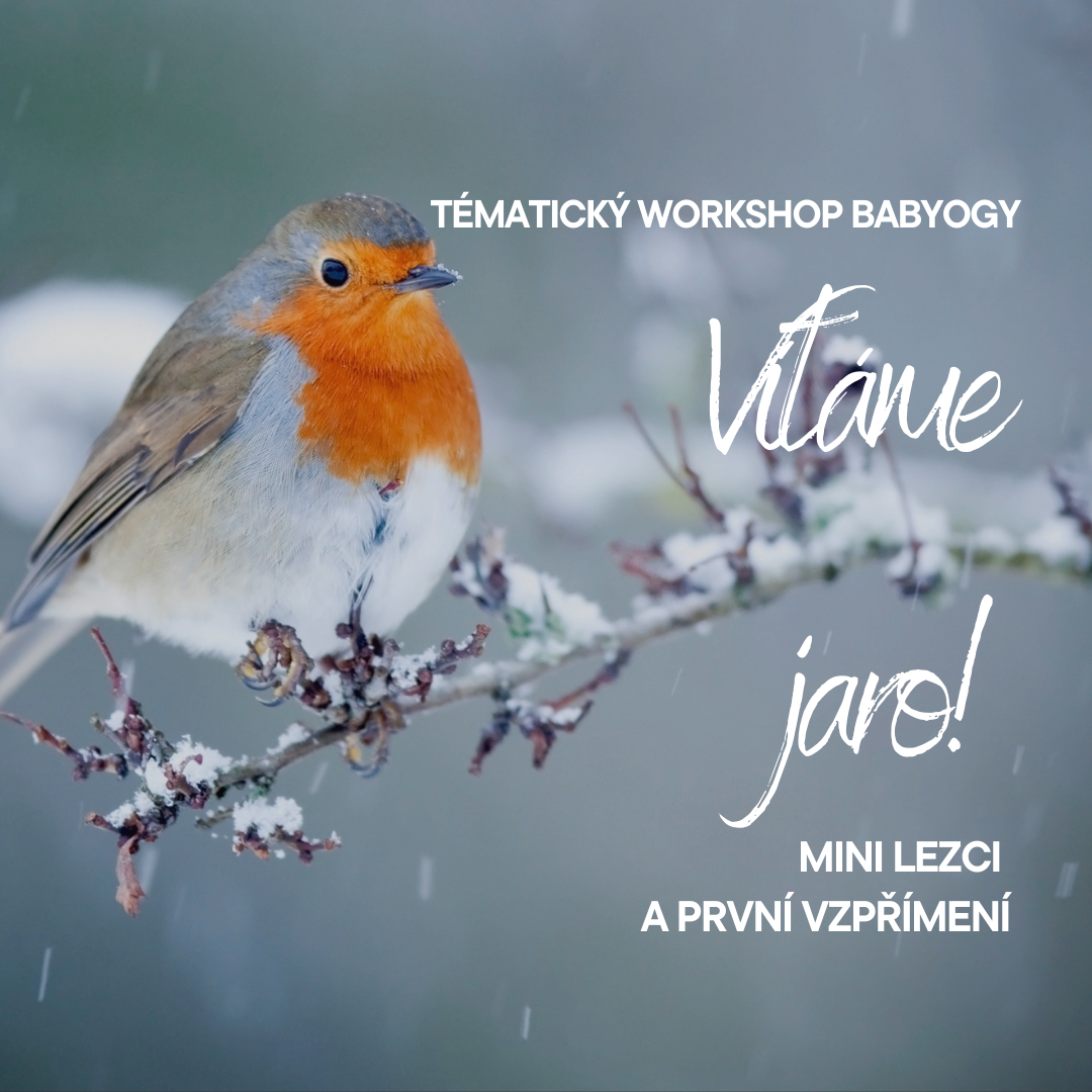 🌿 VÍTÁME JARO ☀️ pro mini lezce (Otevřená lekce)