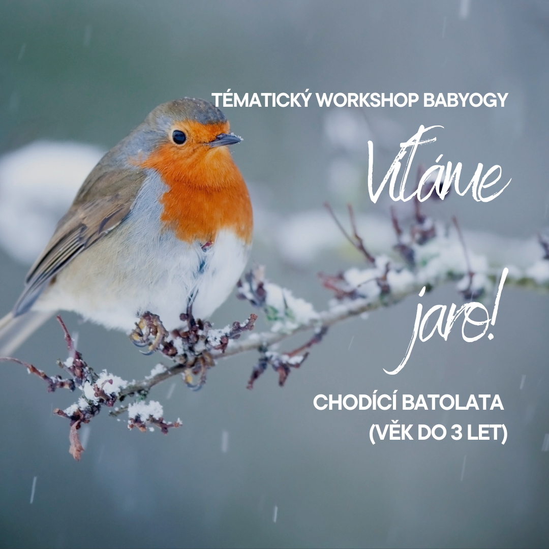 🌿 VÍTÁME JARO ☀️ pro mini chodce (Otevřená lekce)