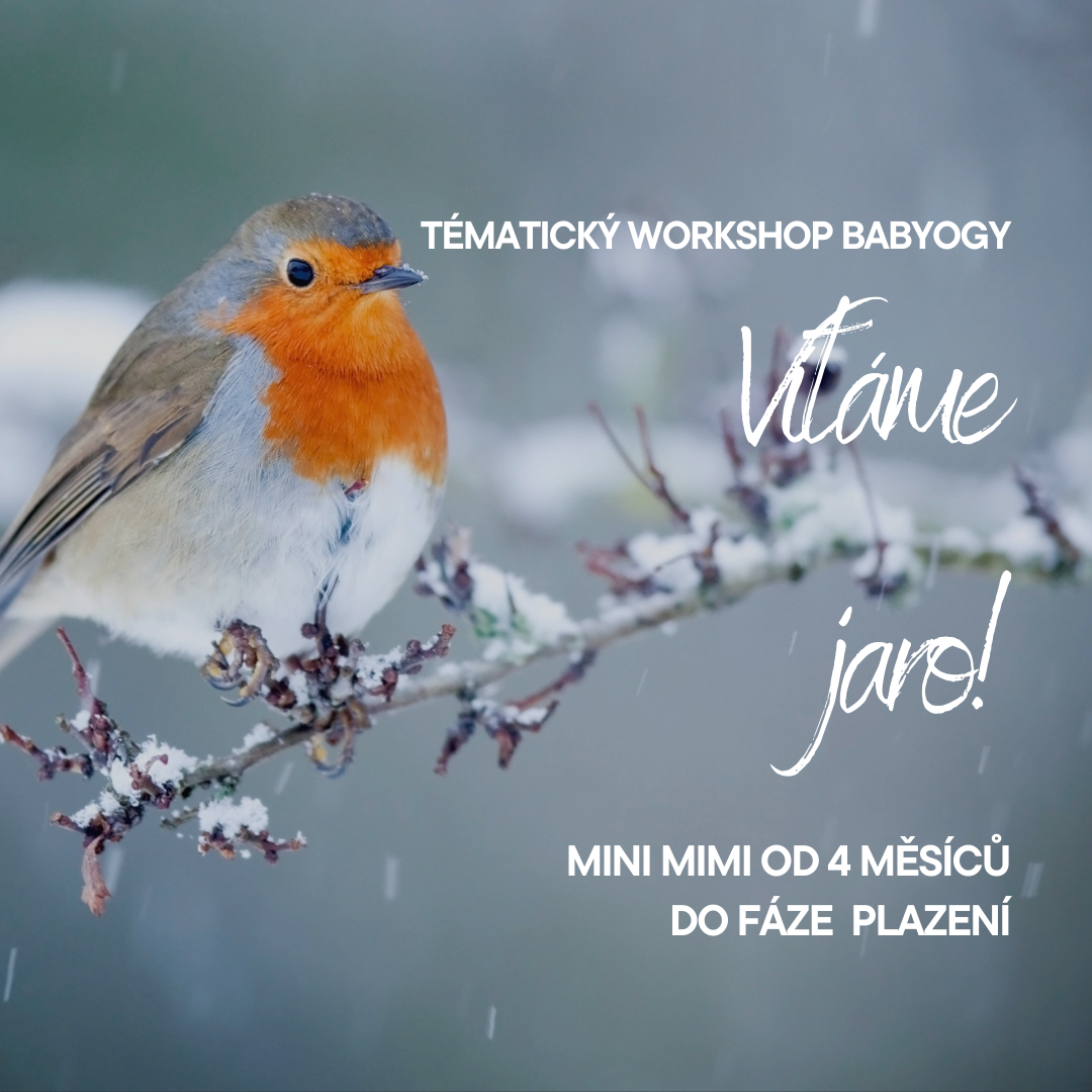 🌿 VÍTÁME JARO ☀️ pro mini mimi (Otevřená lekce) 