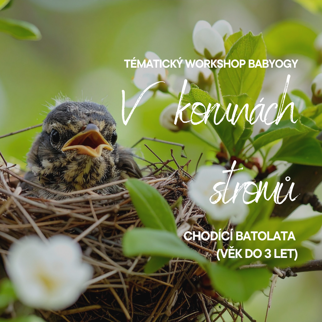 🌳 V KORUNÁCH STROMŮ 🍃🐦 pro mini chodce (Otevřená lekce)