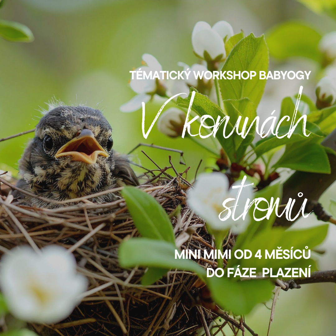 🌳 V KORUNÁCH STROMŮ 🍃🐦 pro mini mimi (Otevřená lekce) 