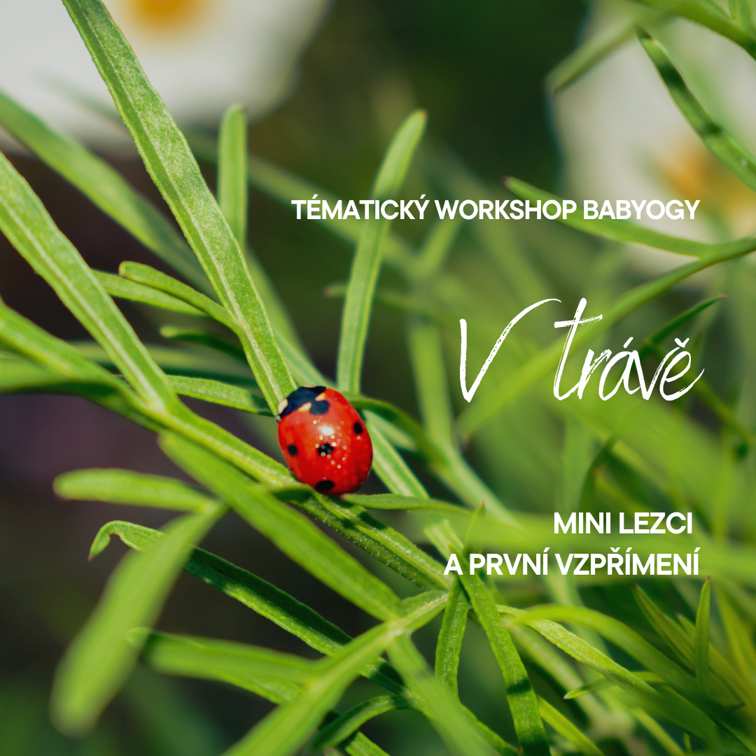 🌿 V TRÁVĚ 🐞 pro mini lezce (Otevřená lekce) 