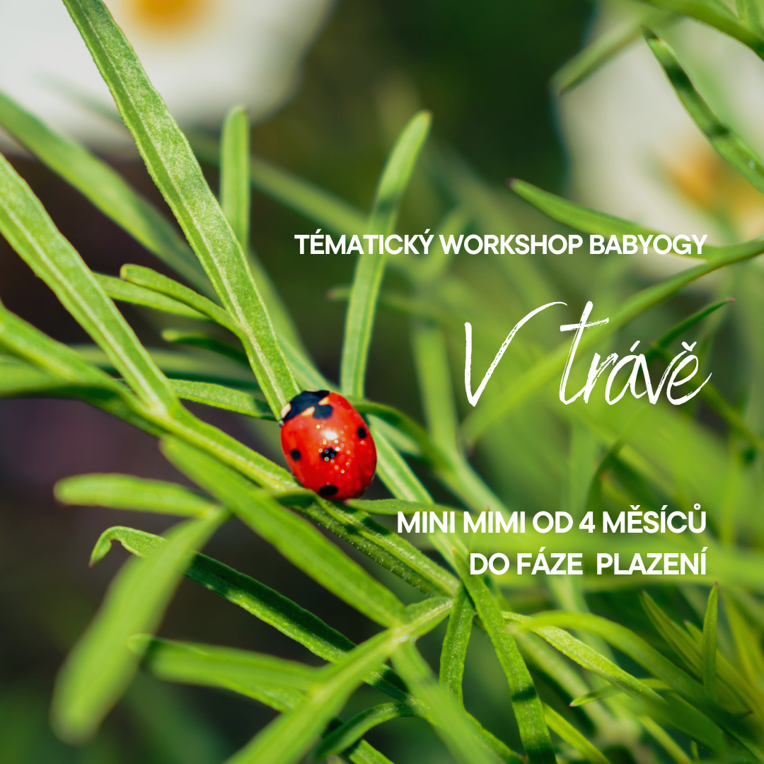 🌿 V trávě 🐞  pro mini mimi (Otevřená lekce) 