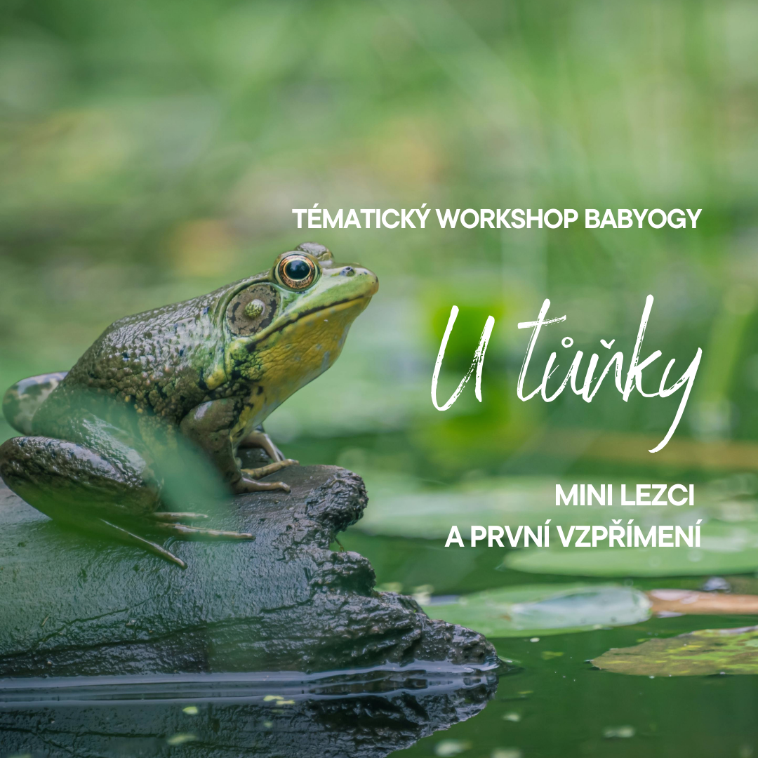 💧 U TŮŇKY 🐸 pro mini lezce (Otevřená lekce) 