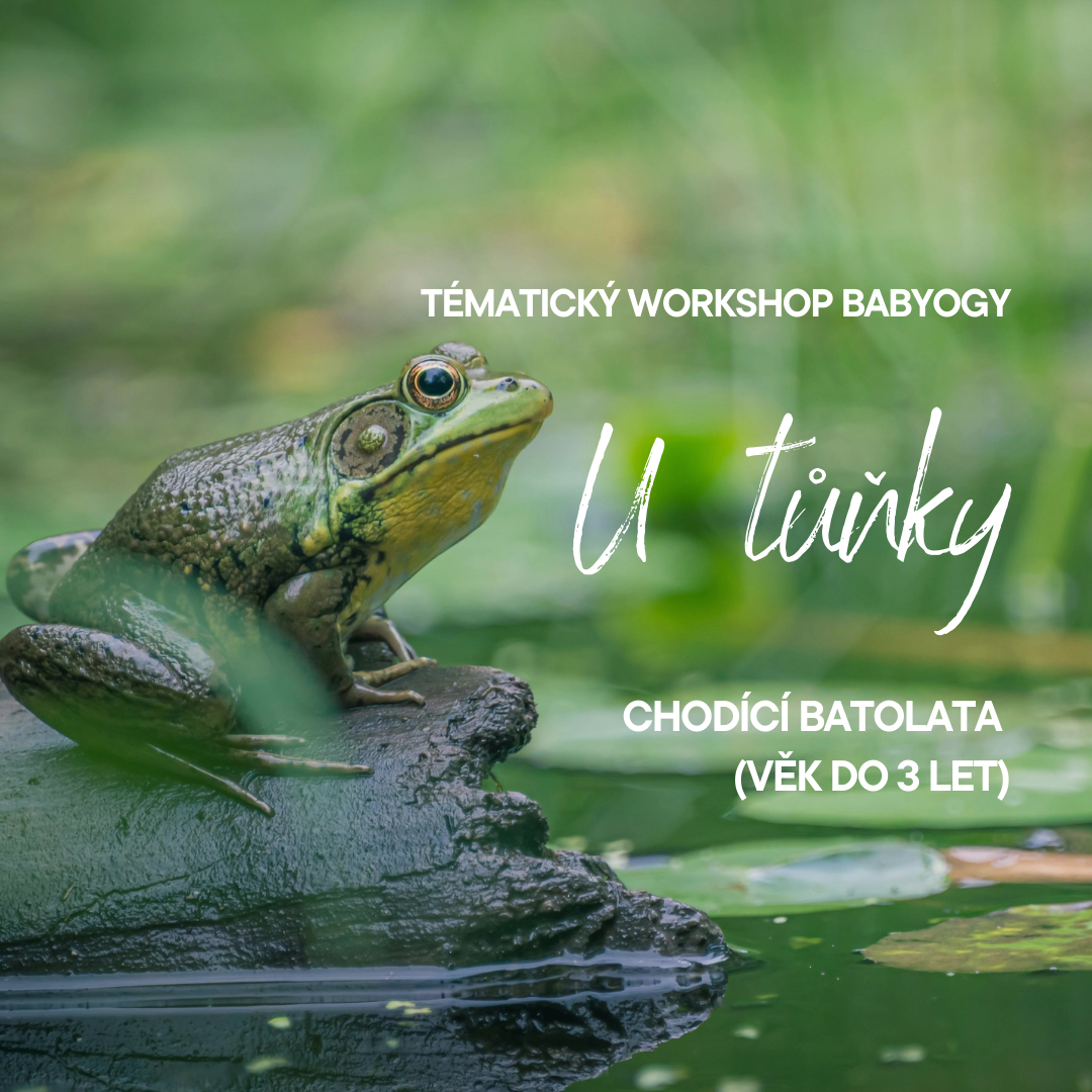 💧 U TŮŇKY 🐸 pro mini chodce 