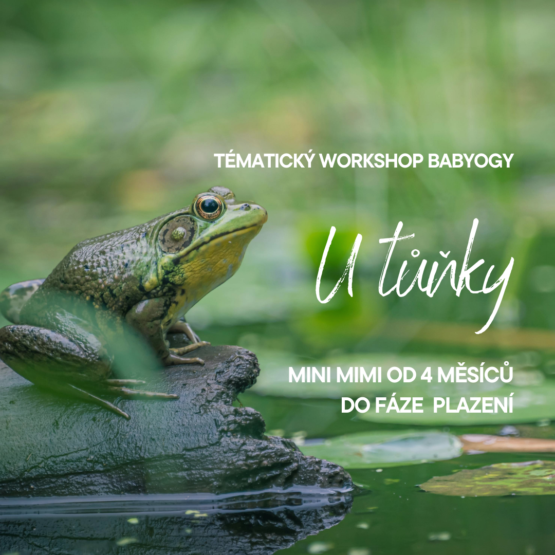 💧 U TŮŇKY 🐸  pro mini mimi (Otevřená lekce)