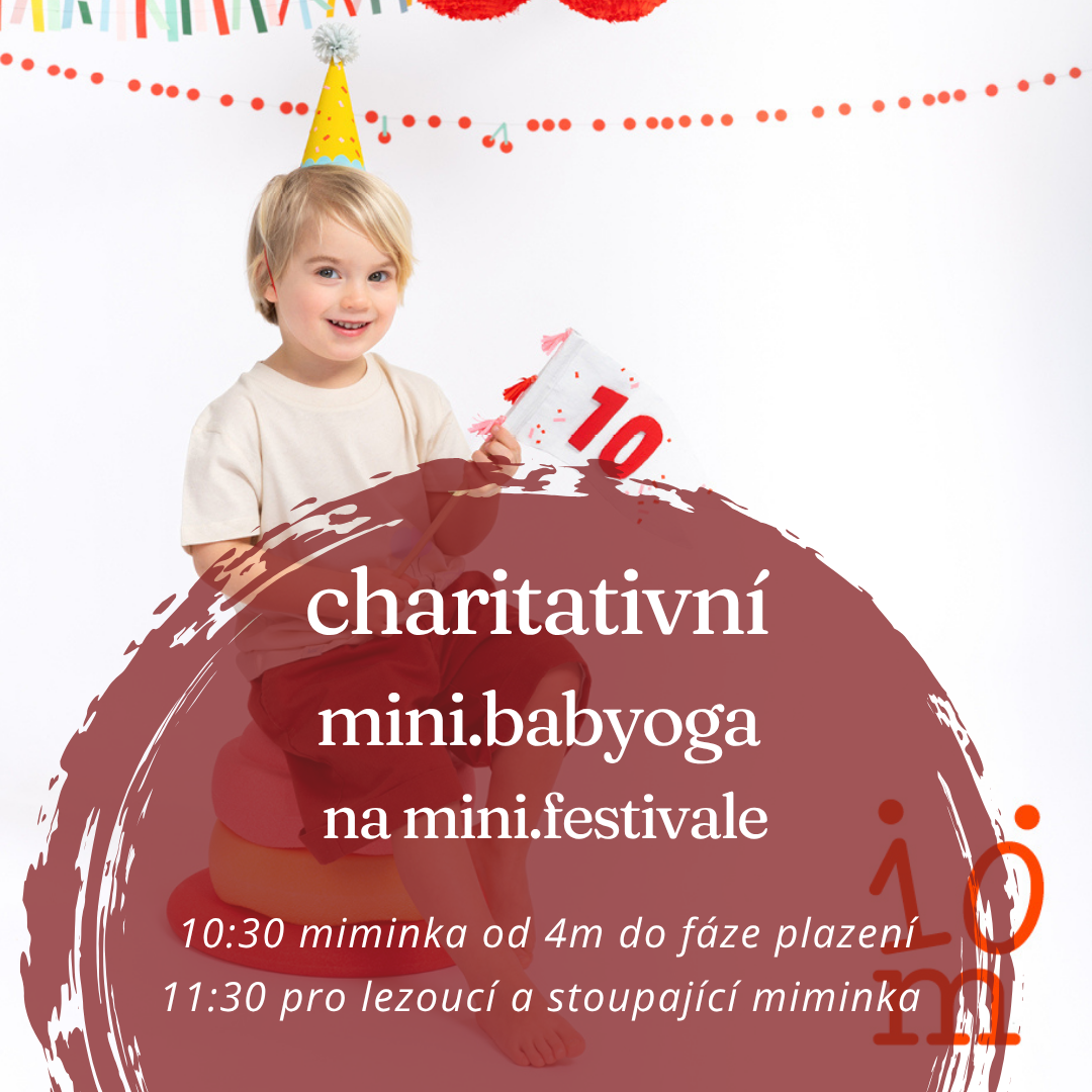 charitativní lekce na mini.festivale