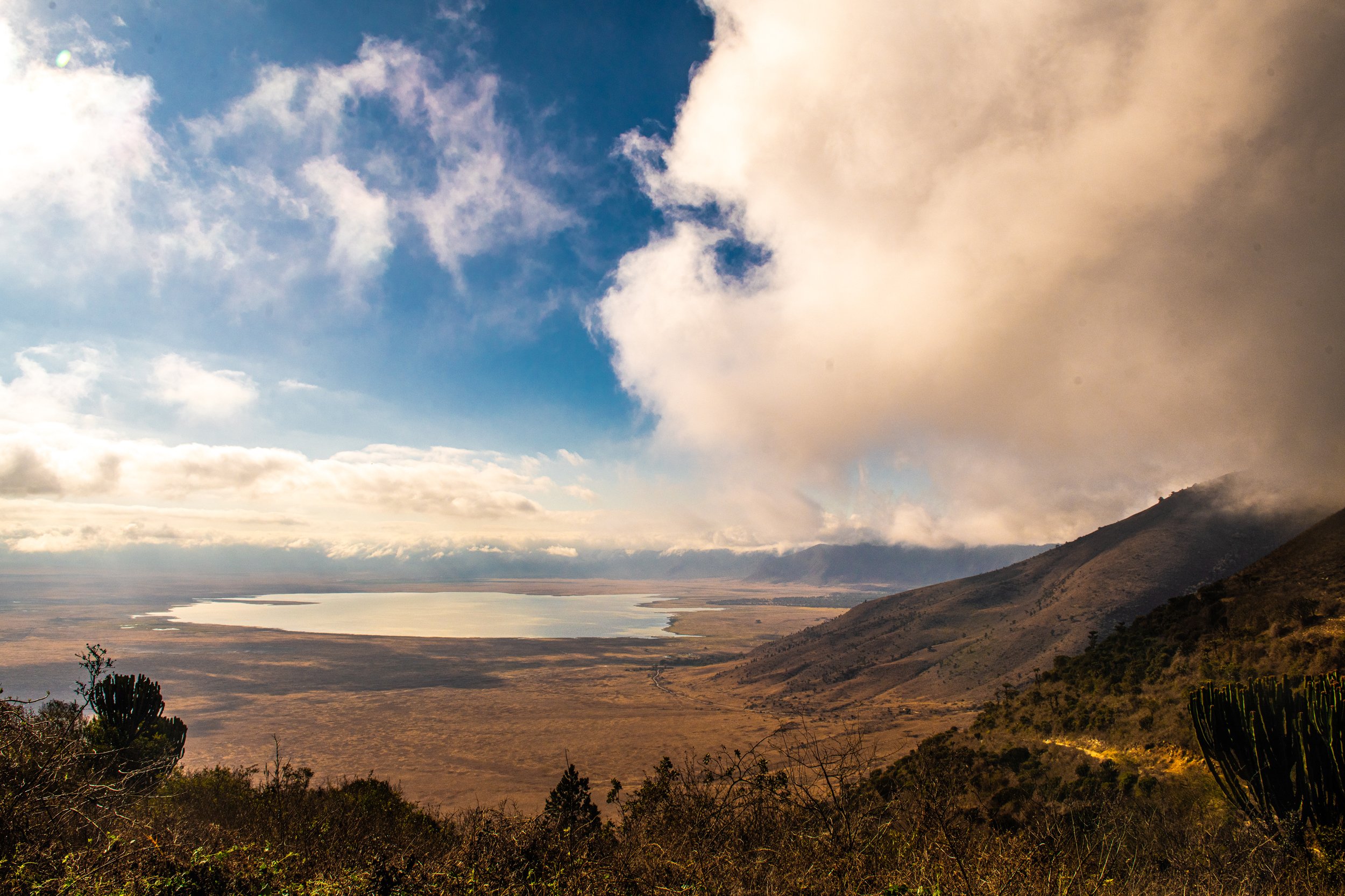 _CT53790-2.jpg